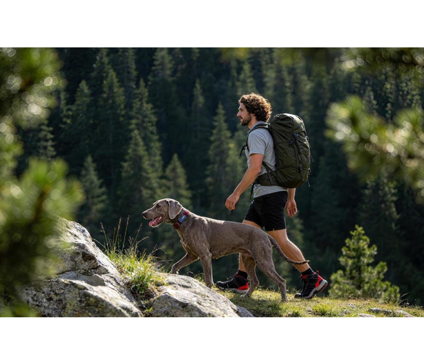 MOVA Sure Track Pro lokalizator GPS dla zwierząt - 1576498 - zdjęcie 10